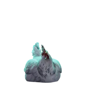 chicken